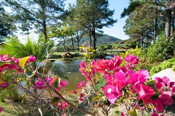 Garten