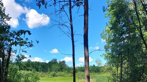Eine natürliche Landschaft mit Teich, Bäumen und einer Holzsteganlage.