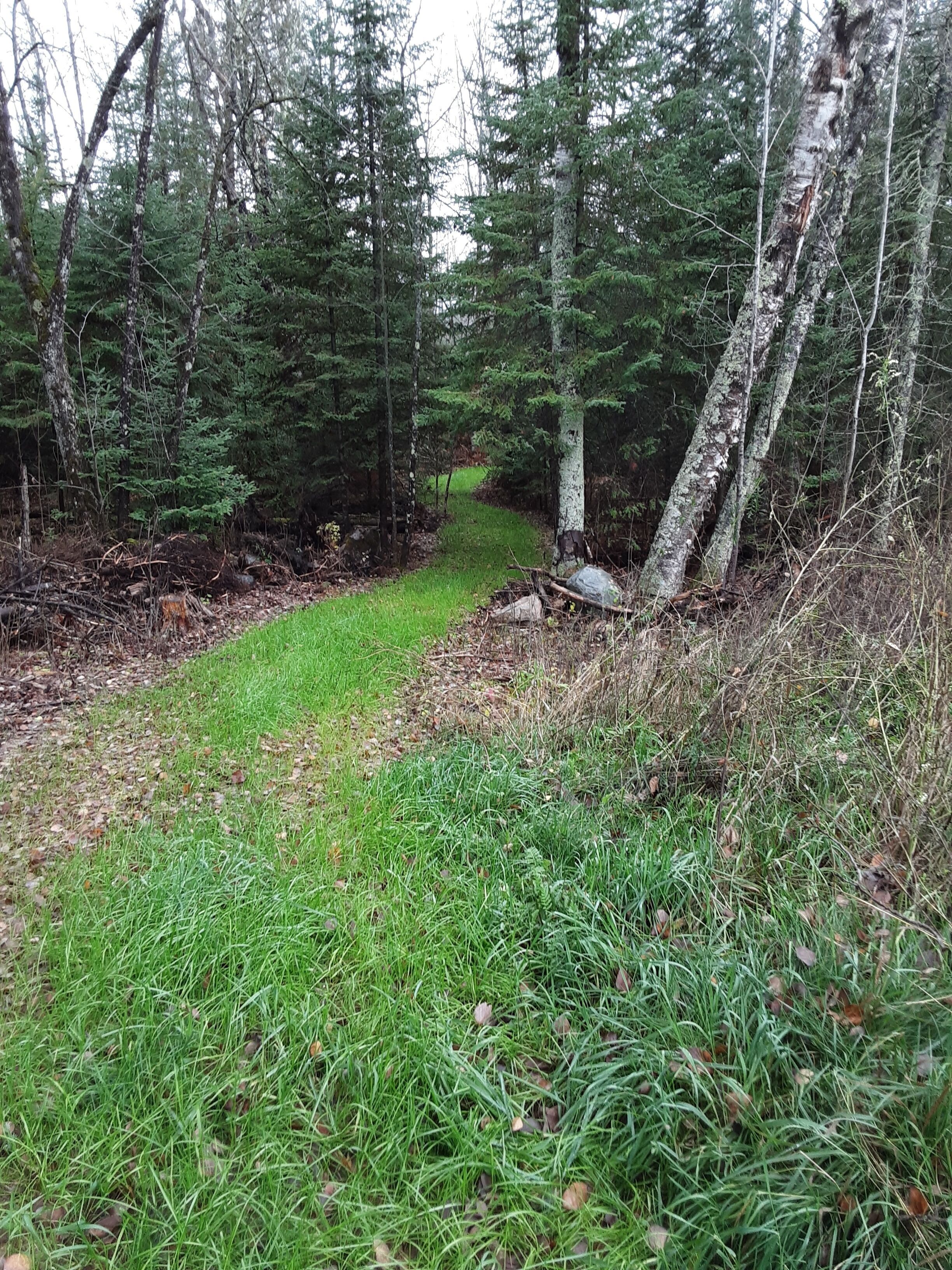 path to the lake