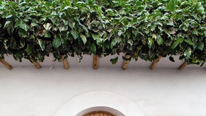 A wooden door with a stone wall and a stone staircase leading up to it. - Unique House in Historical Center (Cuzco)