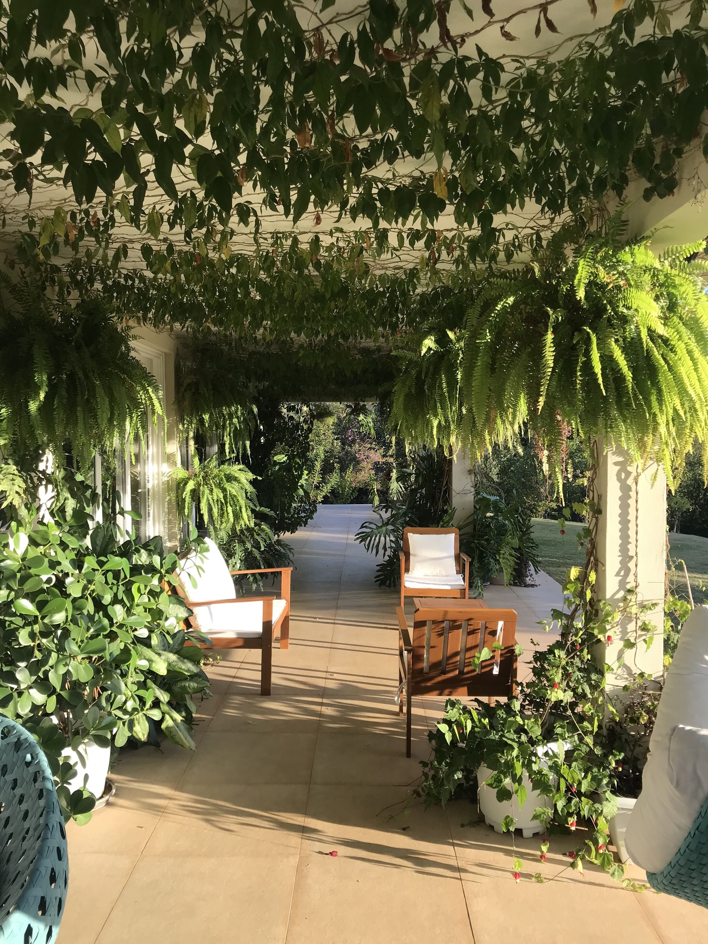 Terrace/patio
