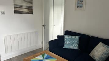 Televisor, llibres i estèreo