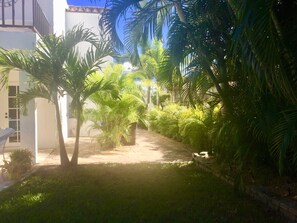A pathway lined with palm trees and a building with a white facade.