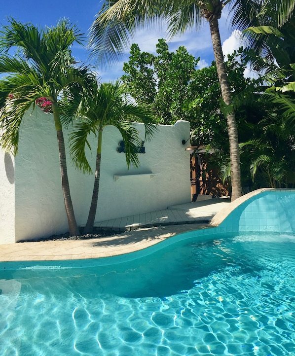 Outdoor pool, a heated pool