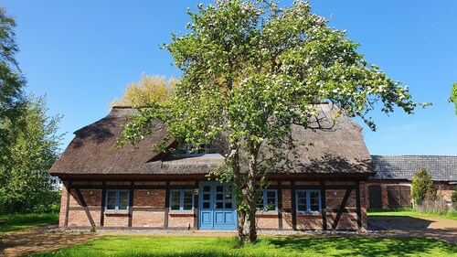 Thatched roof fisherman's house - Vorpommersche Boddenlandschaft National Park - Baltic Sea