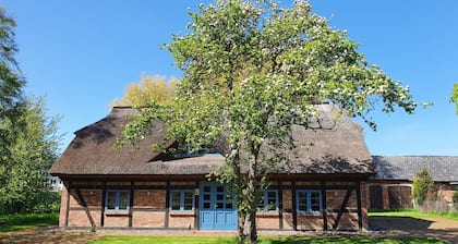 Thatched roof fisherman's house - Vorpommersche Boddenlandschaft National Park - Baltic Sea