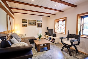 Smart TV, fireplace, books, music library