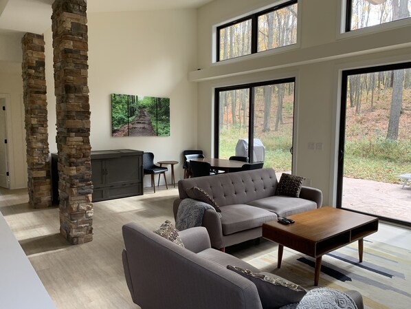 TV, fireplace, books, video library