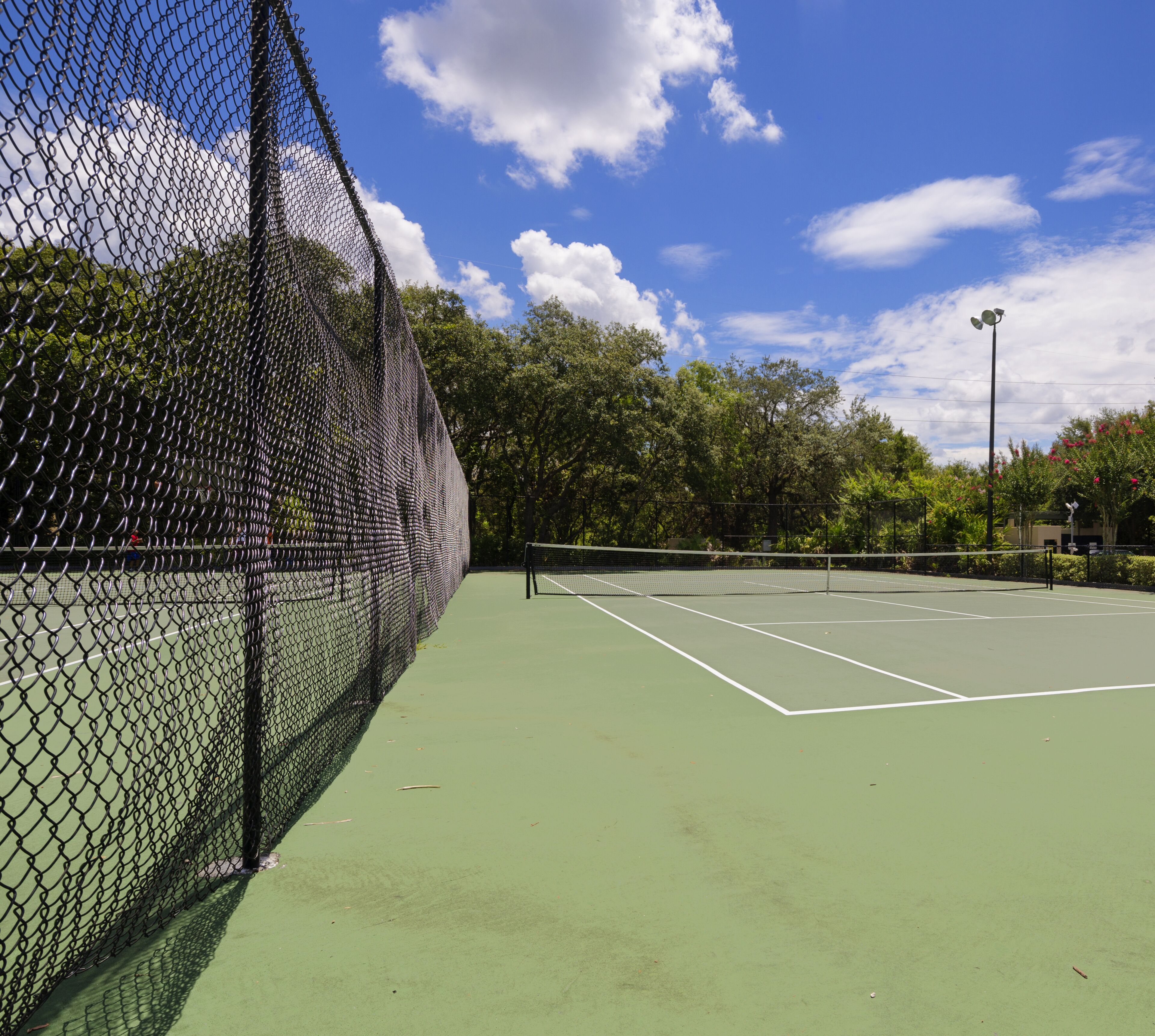 An outdoor tennis court with a chain-link fence, surrounded by trees and a clear sky.