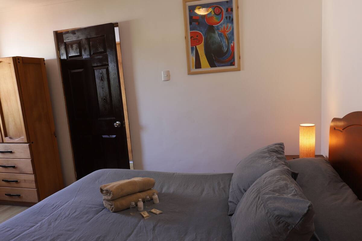 Un dormitorio con una cama, almohadas, una lámpara de noche, un armario de madera, una puerta y un cuadro en la pared.