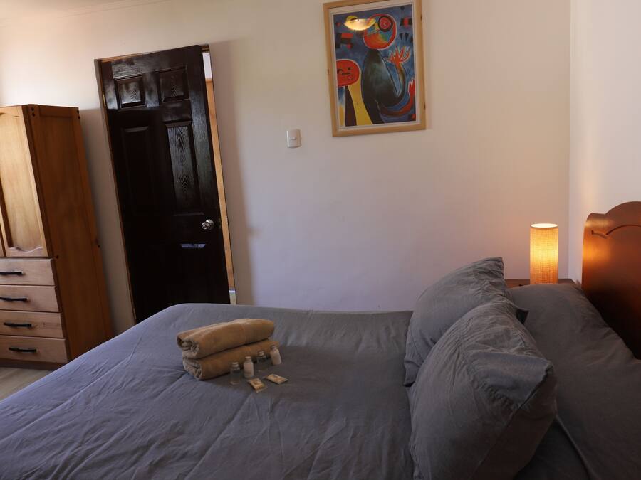 Un dormitorio con una cama, almohadas, una lámpara de noche, un armario de madera, una puerta y un cuadro en la pared.