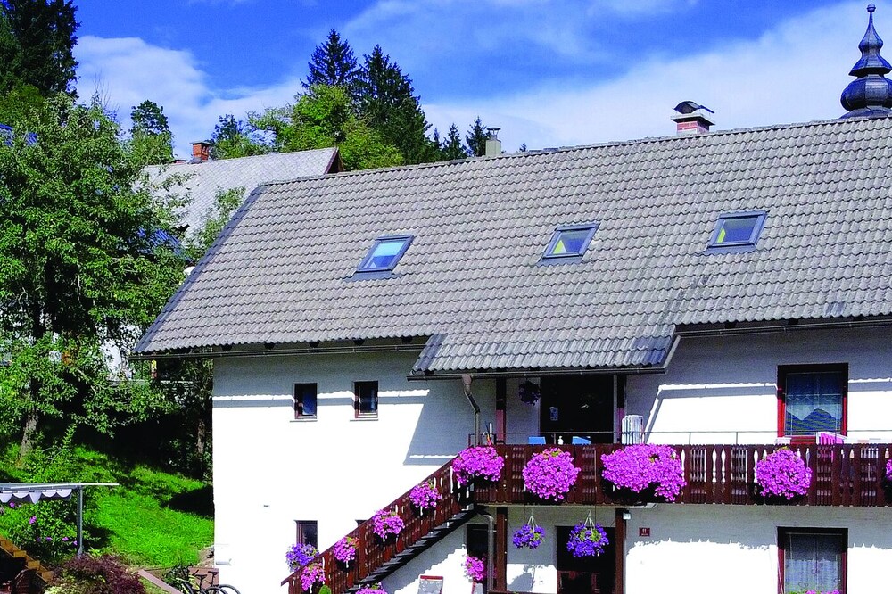 Apartments Lake Bohinj Medja