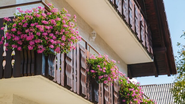 Un immeuble doté de balcons ornés de plantes à fleurs roses.