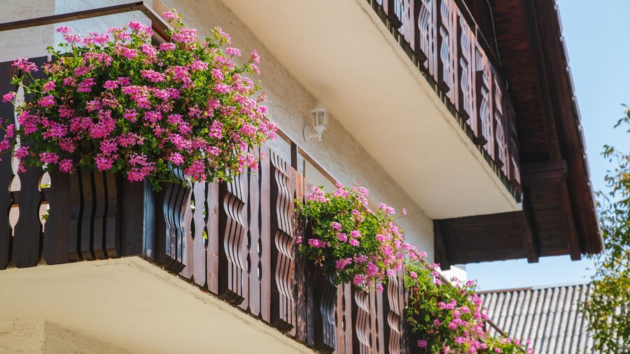 Apartments Lake Bohinj Medja