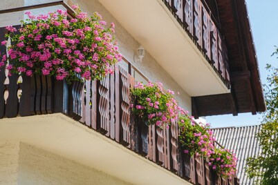 Apartments Lake Bohinj Medja