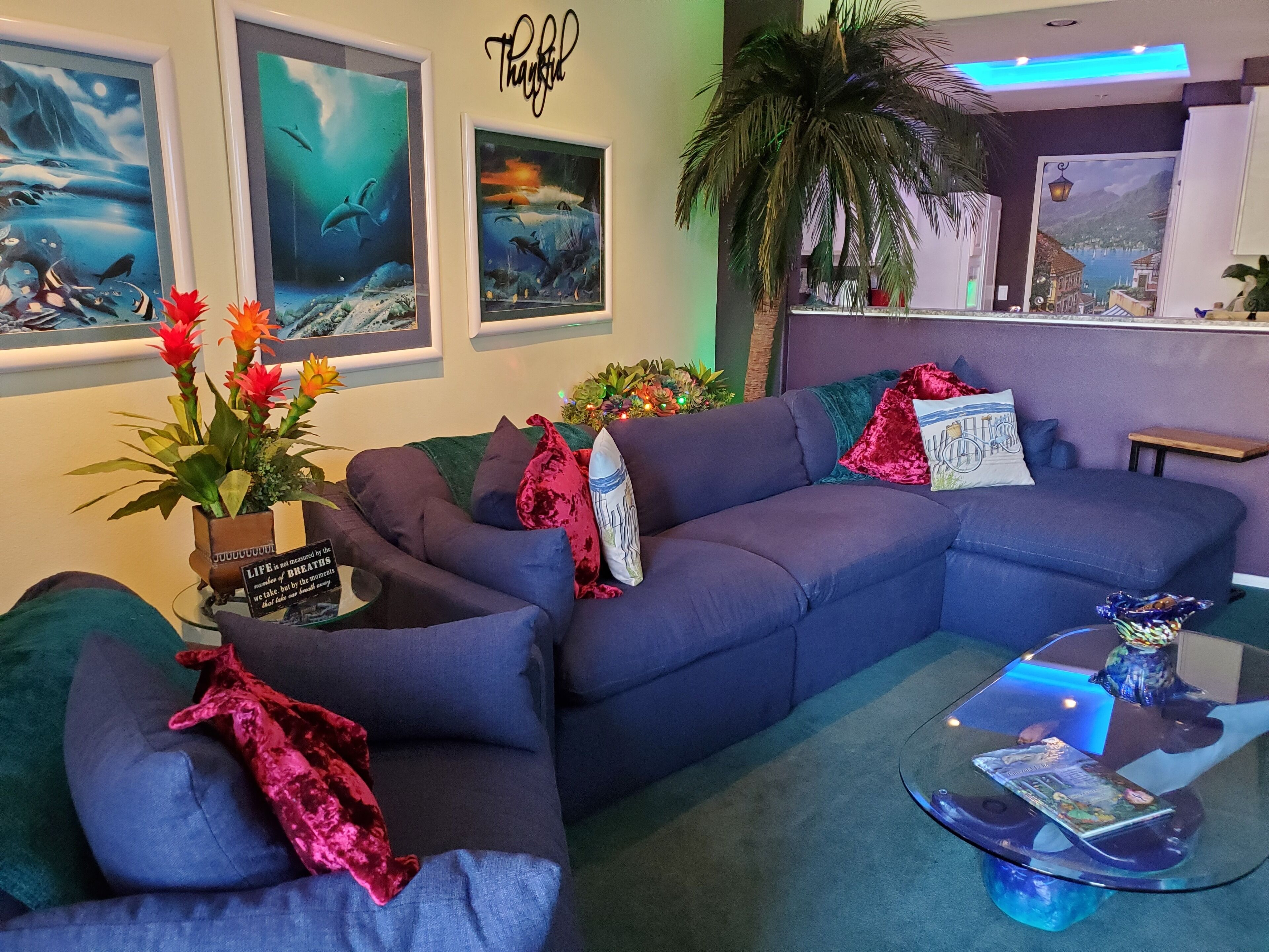 Dolphin Dynasty... Beautifully Decorated, Quiet, Wi-Fi, Pool and Tandum Bike