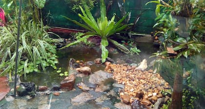 Joys home stay - Hostel