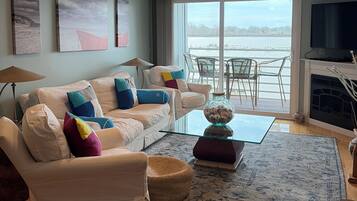 Smart TV, chimenea, reproductor de DVD y libros