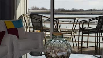 TV connectée, cheminée, lecteur de DVD, livres