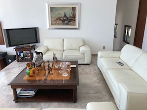 TV, DVD player, video library, stereo - White House the best house (Tequesquitengo)