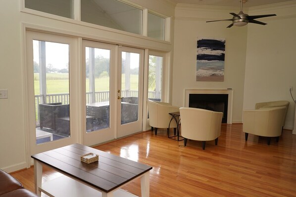 电视、DVD 播放器