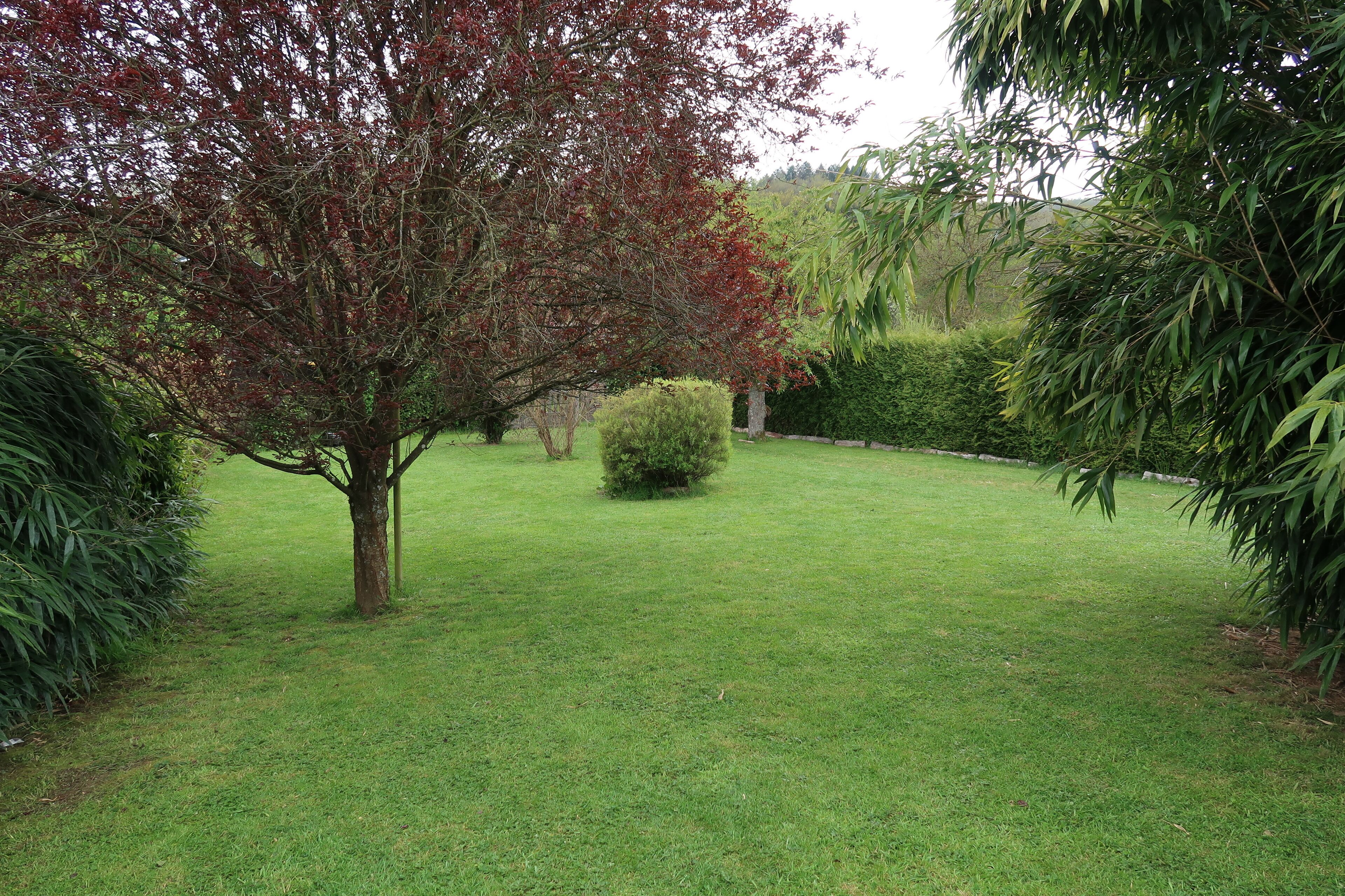 Un jardin bien entretenu, avec une variété d’arbres et d’arbustes, une pelouse soigneusement tondue et un petit buisson au centre.