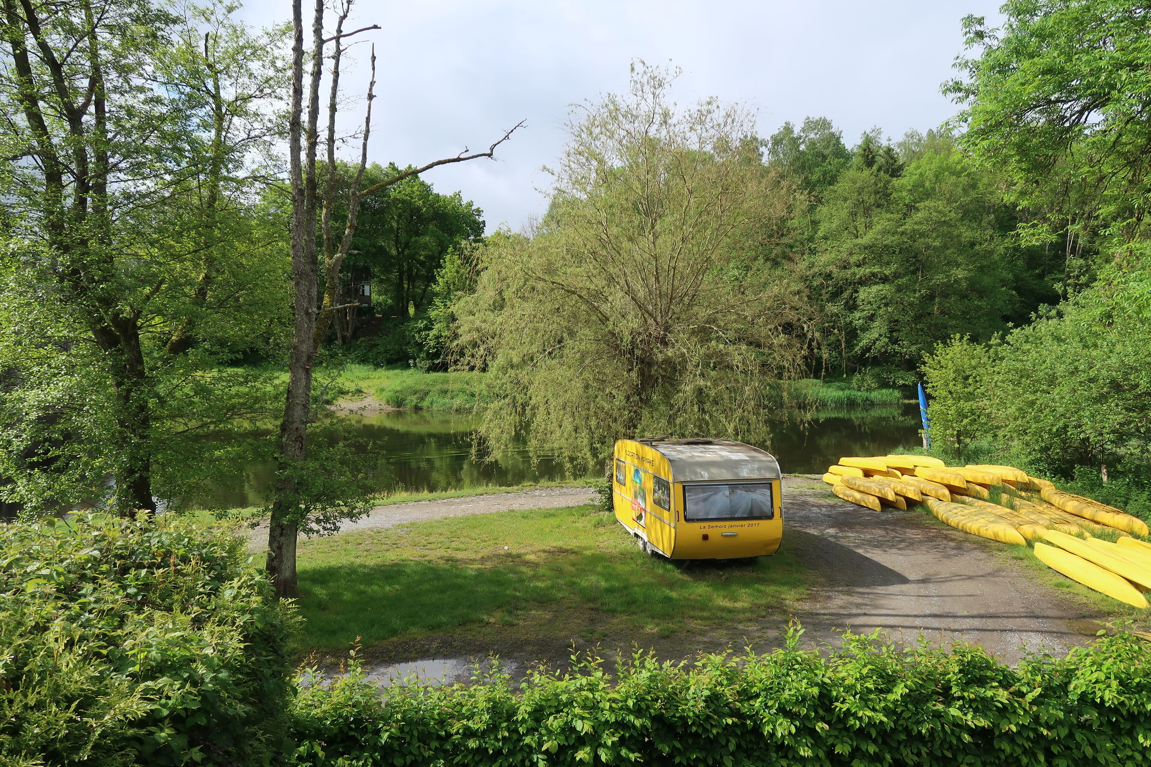Een gele bus geparkeerd nabij een meer, omringd door bomen.