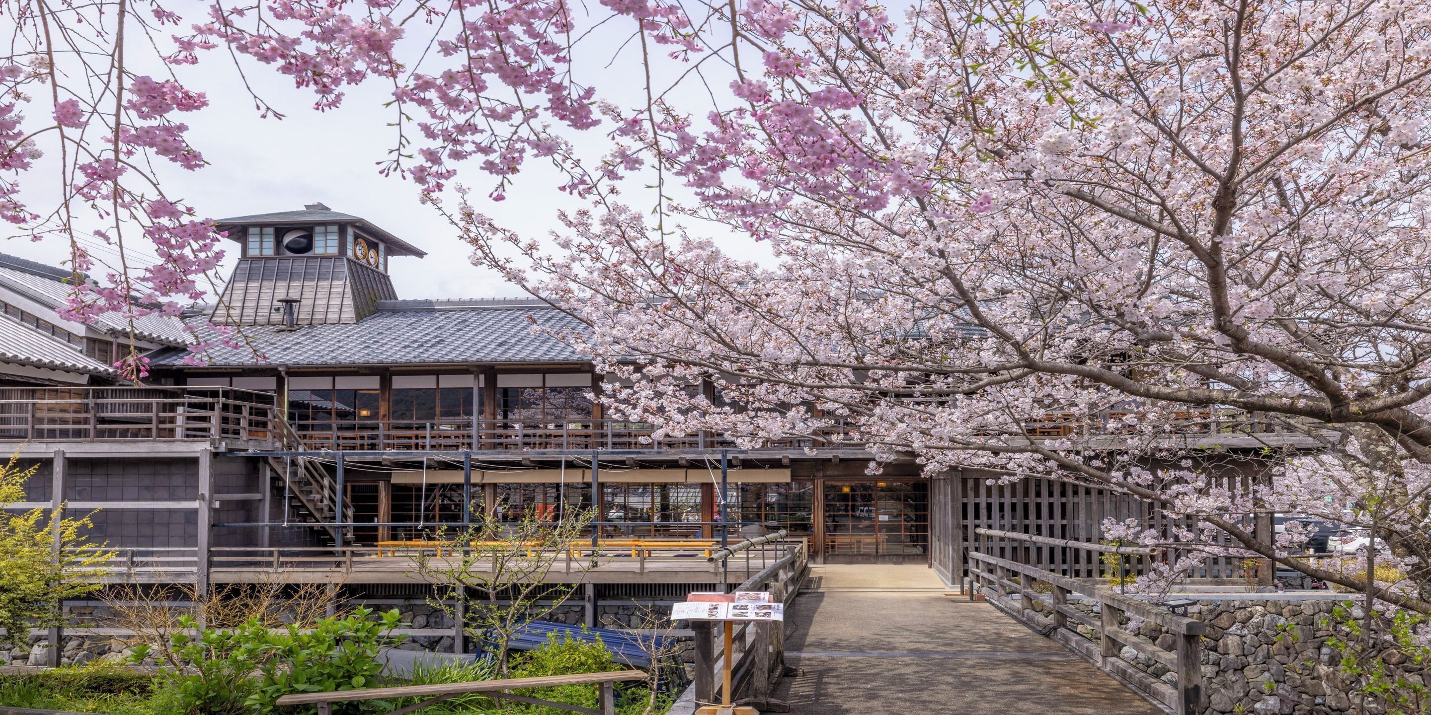 A traditional Japanese building with a stone clock tower, surrounded by cherry blossoms.