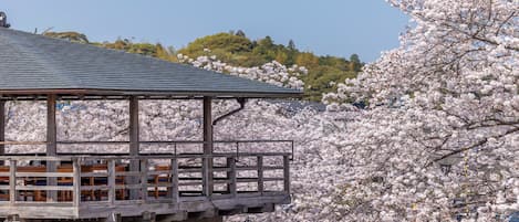 Um edifício japonês tradicional, com estrutura de madeira e telhado de telhas.