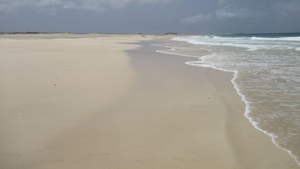 A beach with a wide sandy shore and gentle waves.