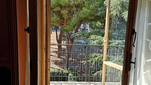 Blick durch ein Fenster mit einem Metallgitter auf eine gepflasterte Außenanlage mit Bäumen und einem Zaun.