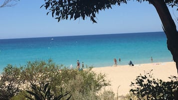 Beach nearby, white sand