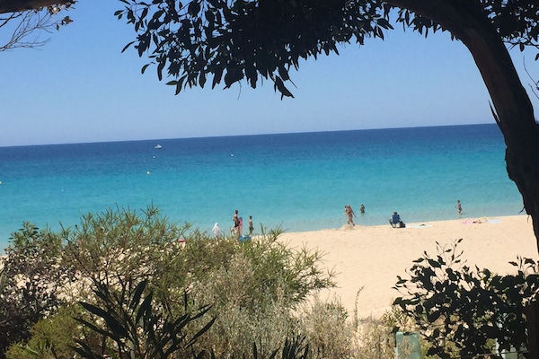 Beach nearby, white sand