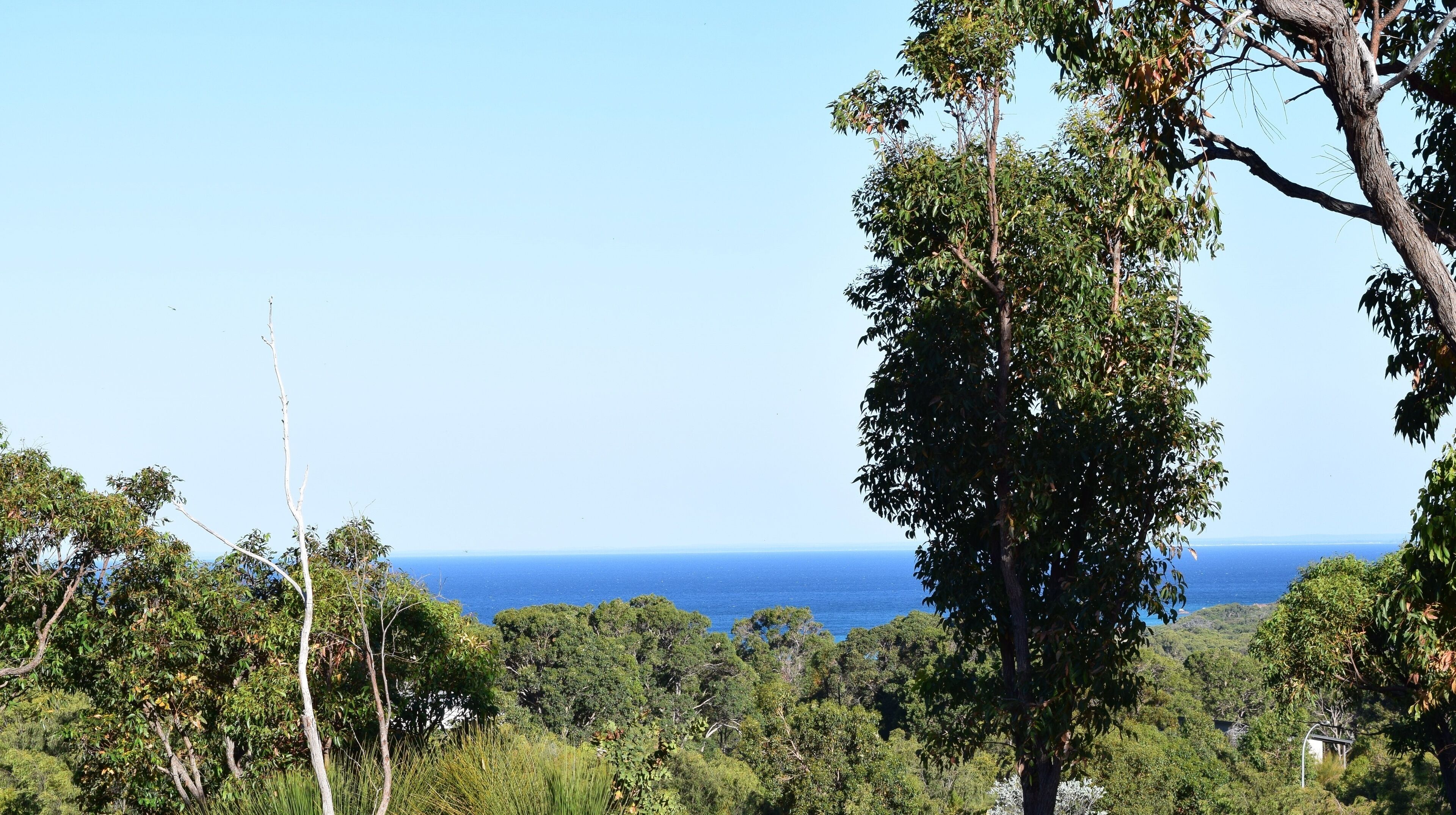 A coastal landscape with dense greenery and a clear view of the ocean.