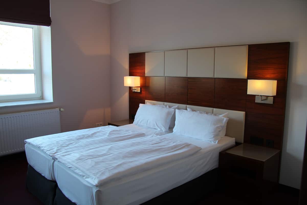 Business Double Room | Peralatan tempat tidur hipoalergenik, peti besi dalam bilik, meja
