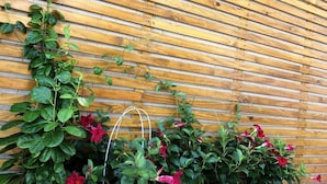 A wooden wall with horizontal planks. - Jinduohai B&B (Magong)