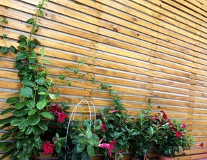 Courtyard - Jinduohai B&B (Magong)