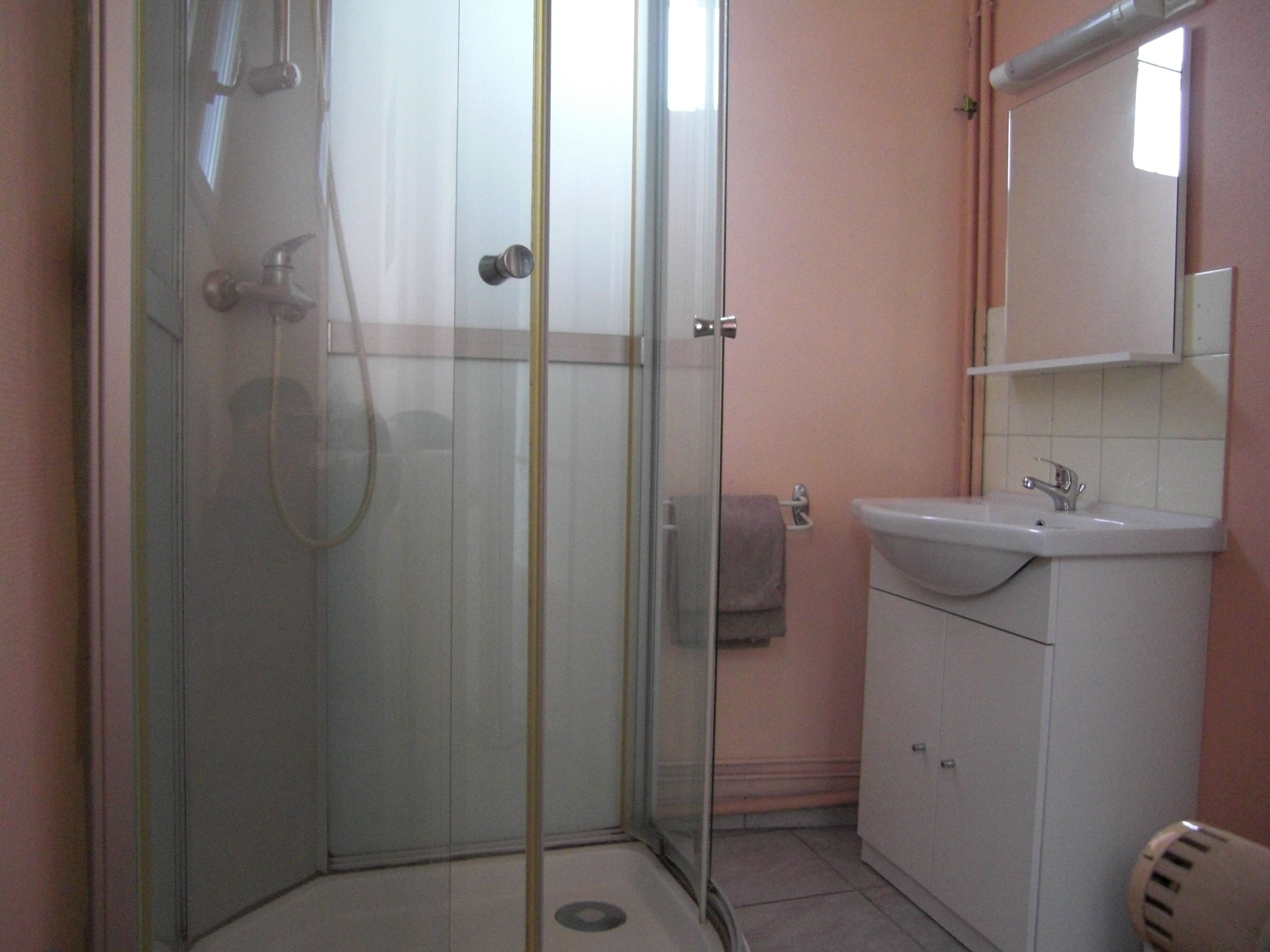 A bathroom with a glass-enclosed shower, a sink, and a mirror.