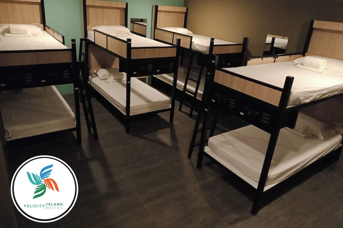 Eenvoudige slaapzaal (for 8 Pax) | Select Comfort-bedden, een minibar, een kluis op de kamer