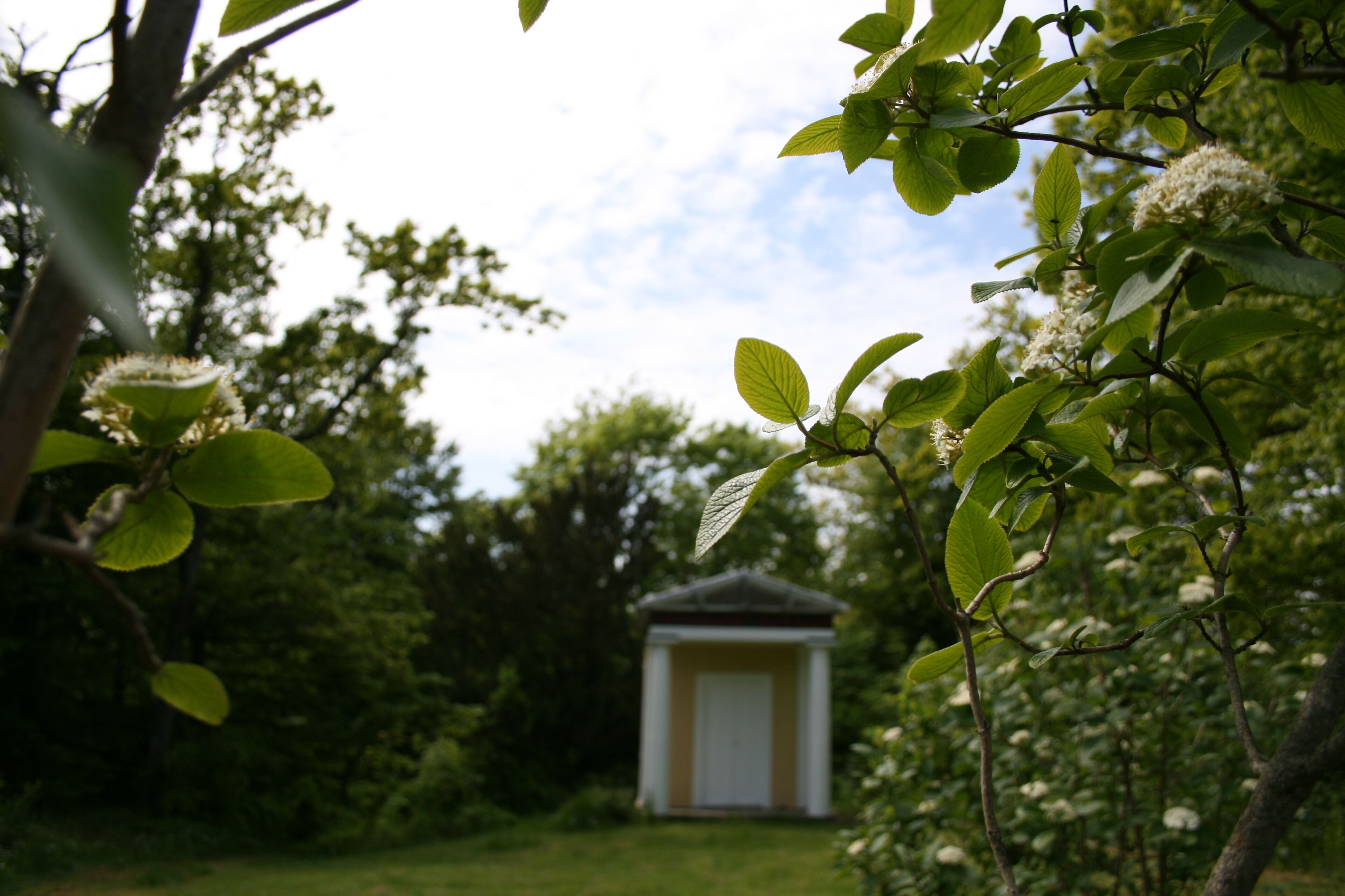 A small, single-story building with a simple, rectangular structure and a flat roof, surrounded by lush greenery and flowering trees.