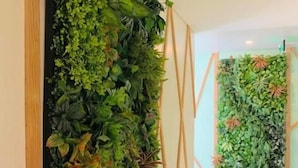 A hallway with a vertical garden wall and a wooden floor. - Kojo Hotel (Tagum)