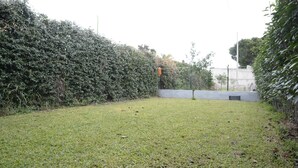 Un espacio al aire libre con césped, un seto en un lado y un muro de concreto en el otro.