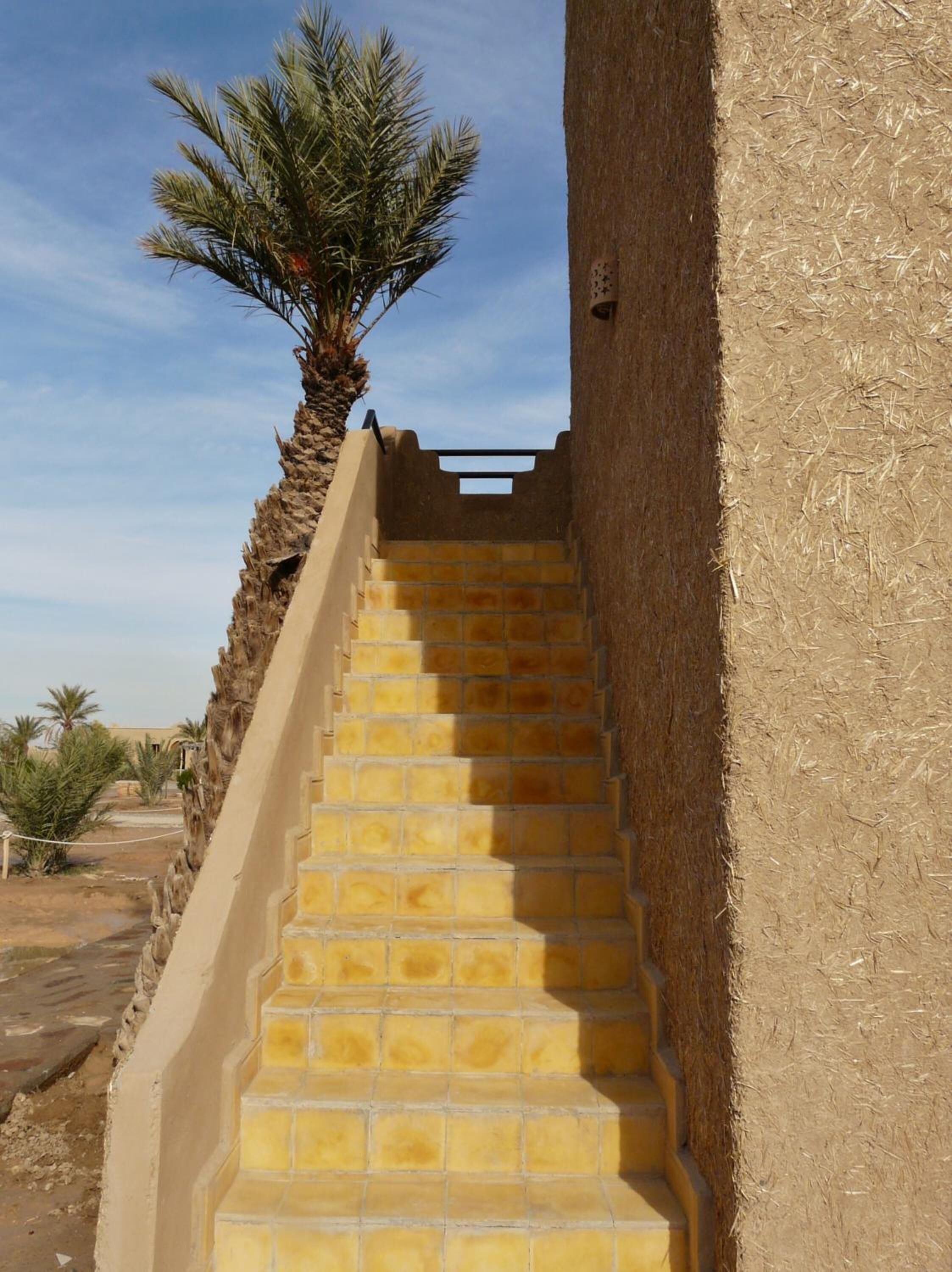 A set of outdoor stairs leading up to a building with a palm tree at the top.