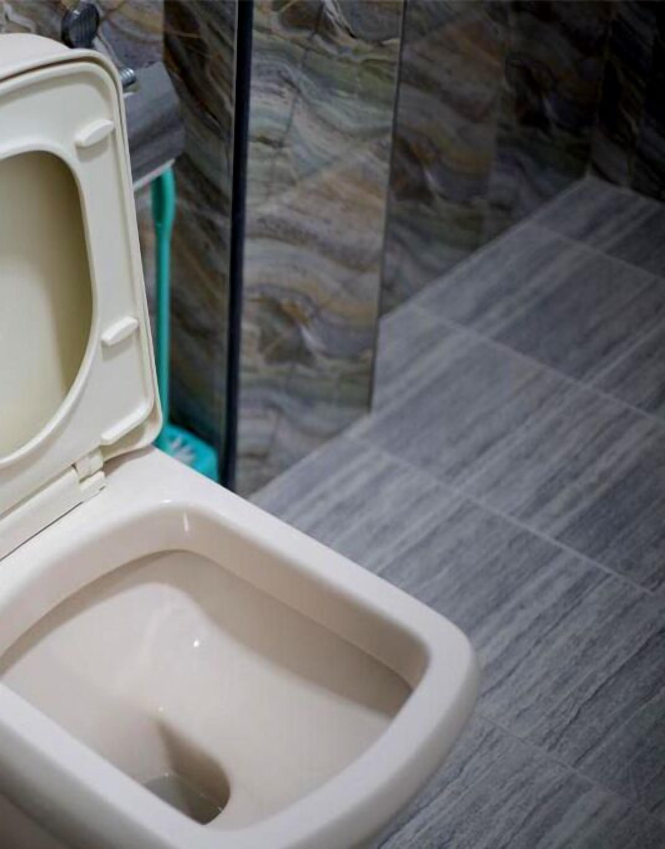 Des toilettes avec un abattant surélevé et un bidet fixé au mur.