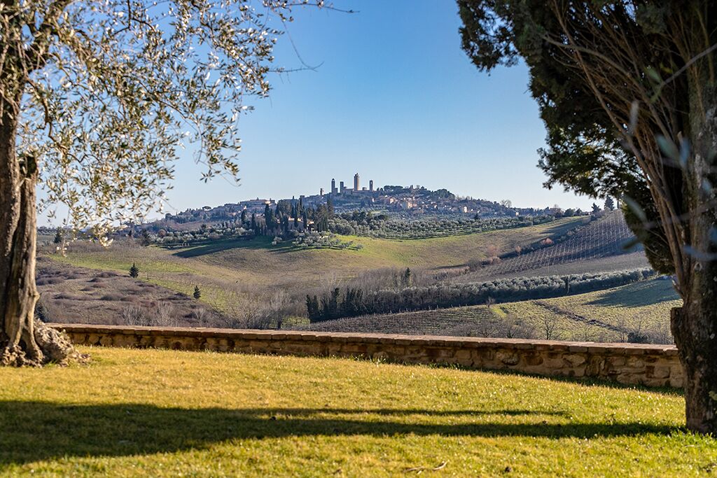 Un paysage de vignoble avec un mur de pierre au premier plan et une colline lointaine parsemée de bâtiments.