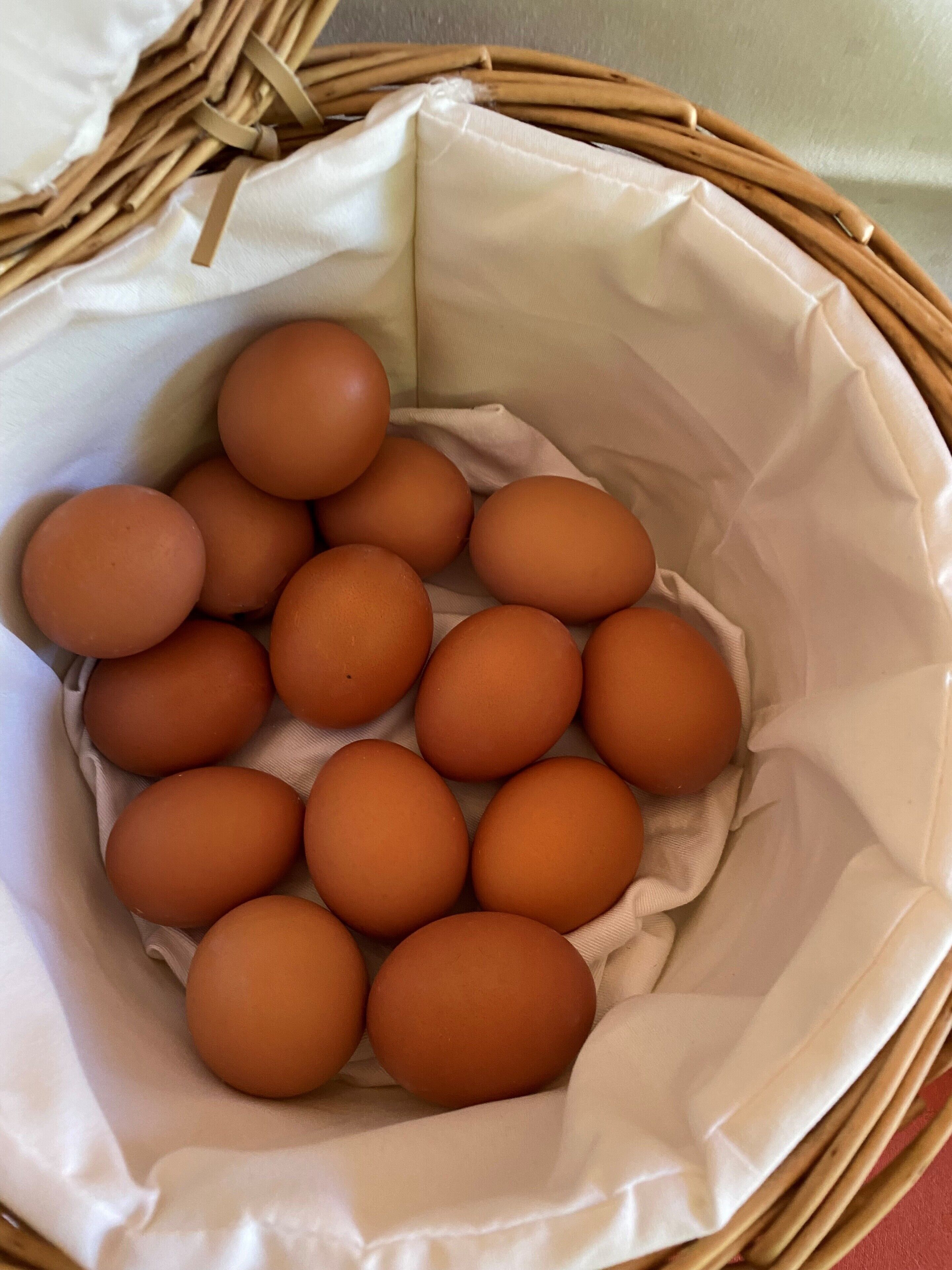 A basket filled with brown eggs.