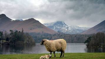 Site dâintĂ©rĂȘt