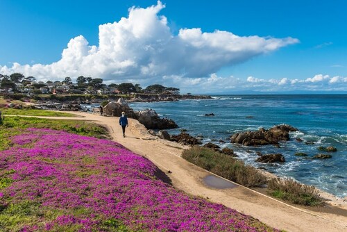 3792 The Lavender House ~ Walk to Town & Beach