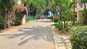 A paved pathway flanked by lush greenery and buildings. - ❤️ All on foot | Family villa 8 pers facing the beach | Gold Coast (FLIC EN FLAC)