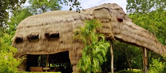 Kumbuk River Elephant Villa